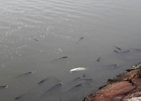 刪除3.png