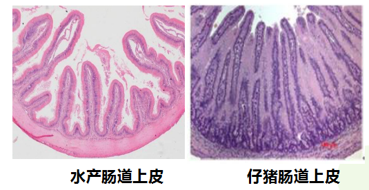 圖片4.png