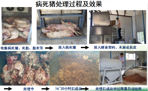 WPS圖片-修改尺寸.png