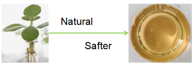 歐佳諾1.png