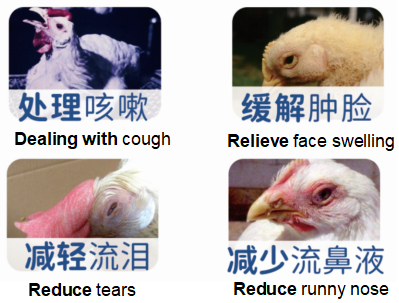 1650266792176147.png 威利可.png